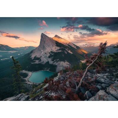 Ravensburger - Puzzle Power of Nature: Wild nature - 1 000 piese