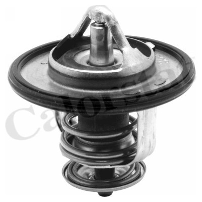 Termostat, chladivo CALORSTAT BY VERNET TH6587.87J