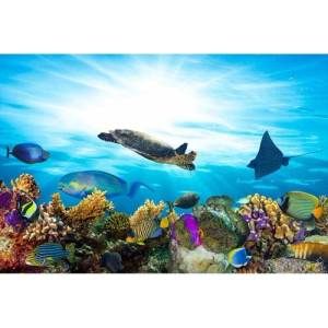 DIMEX ART Флизелинов фототапет риби в океана 375 x 250 см