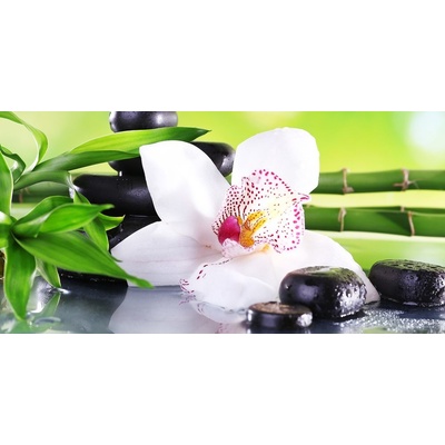 Obraz orchidea s japonskou tematikou