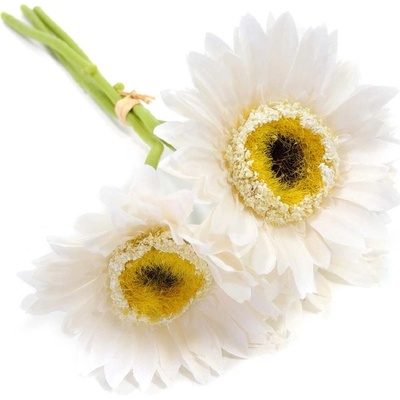 Florissima! Gerbera biela 31cm