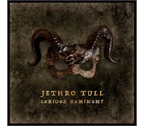 Jethro Tull Curious Ruminant 1 CD