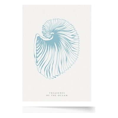 Plagát Seashells blue 70x100 - 78150