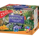 Agro CS Kristalon Izbové rastliny 5 g x 25 ks