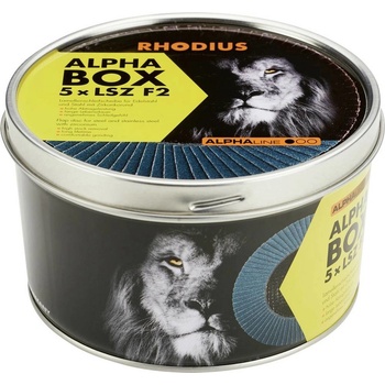 Rhodius Vějířovitý brusný kotouč 115 x 22.23 mm 209313 5 ks