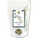 Salvia Paradise Šišák vousatý nať 1 kg
