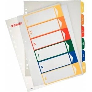 Esselte A4 1/6 MAXI cover with printing (100212)