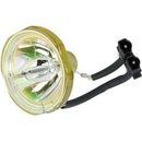 Lampa do projektora LG 4810V00146D, generická lampa vrátane modulu