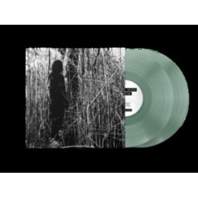 Billy Woods - Today, I Wrote Nothing (Reissue) (Coke Bottle Clear Coloured) (10th Anniversary) 2 LP