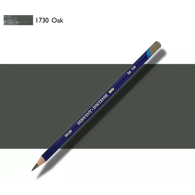 Derwent Inktense umělecké pastelky jednotlivé kusy oak 1730