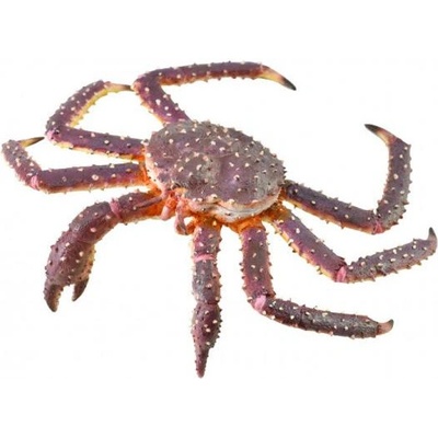 COLLECTA Krab kráľovský King crab