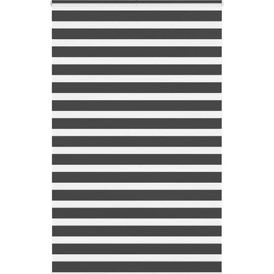 Zebra roleta černá 150x200 x 145,9 cm polyester Černý 4014271