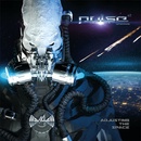 Adjusting the Space - Pulse CD