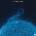 Third Eye Blind - Blue (Clear & Blue Splatter Coloured) (Limited Edition) (2 LP) (0603497824762)