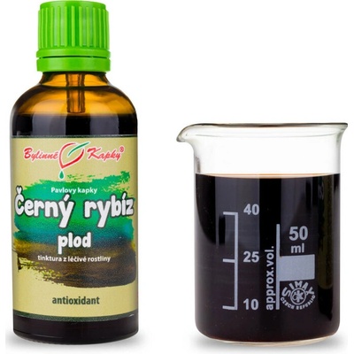 Ríbezľa čierna plod kvapky tinktúra 50 ml