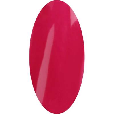 Laif Barevný Led Uv gel PT 102 fialový 6 ml