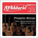 Daddario EPBB170-5