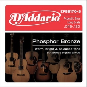 Daddario EPBB170-5