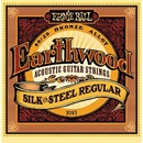 Ernie Ball 2043