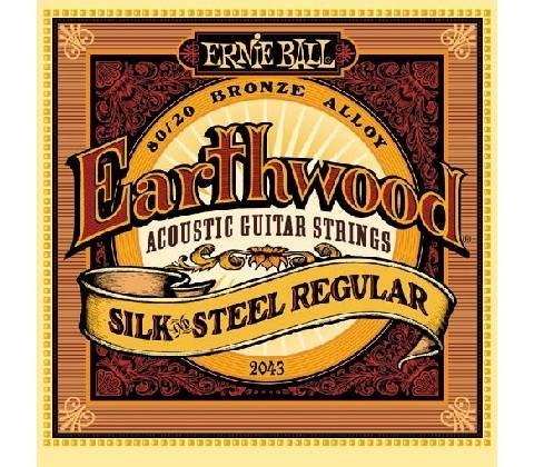 Ernie Ball 2043