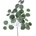 LISTY EUCALYPTUS 45CM