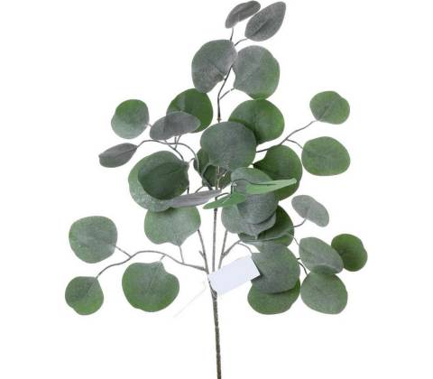 LISTY EUCALYPTUS 45CM