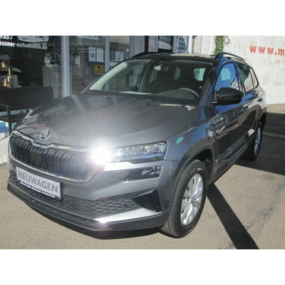 Skoda Karoq 1.5 TSI DSG 110 kW – Zbozi.Blesk.cz