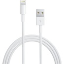 Apple MD818 Lightning, Datový