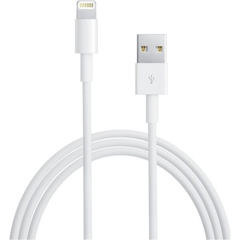 Apple MD818 Lightning, Datový
