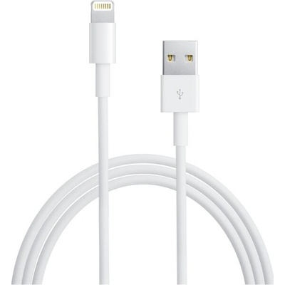 Apple MD818 Lightning, Datový