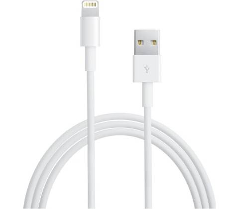 Apple MD818 Lightning, Datový