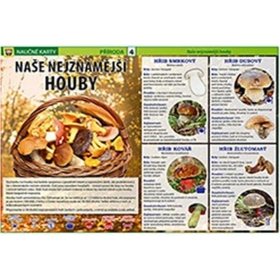 Naučné karty Naše nejznámější houby