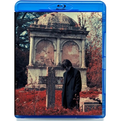 Steven Wilson - Requiem for a Village BRD