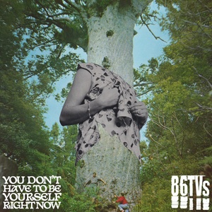 Warner 86TVS: You Don't Have To Be Yourself (RSD 2024) - Vinyl (LP) (071117)