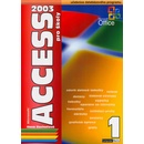 Acces 2003 pro školy