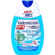 Vademecum 2v1 Mentol Fresh 75 ml