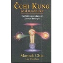 Čchi kung jednoduše - Chia Mantak, Lee Holden