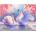 Norimpex - Puzzle Diamant painting: Swans among the lilies 30x40cm - 1 - 39 piese