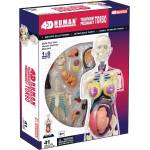 4D Master Образователен комплект 4D Master - Анатомичен модел на бременна жена Transparent, 41 части (626109)