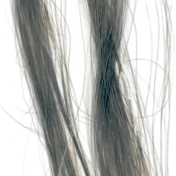 Elyseé Infinity Hair Color Mousse farebné penové tužidlá 1.1 Silver strieborná 75 ml
