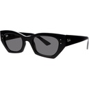 Ray-Ban RB4430 667787