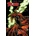 Spawn Compendium, Color Edition, Volume 2
