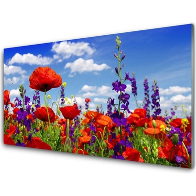 Obraz na skle Tulipány Rostlina 100x50 cm