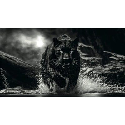 Obraz na plátne Black Panther 180x100 cm