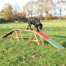 Výcvik psa Trixie Agility lávka 456 x 64 x 30 cm do 80kg
