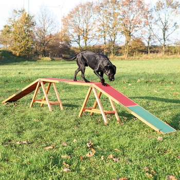 Trixie Agility lávka 456 x 64 x 30 cm do 80kg
