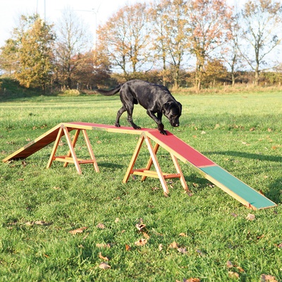 Trixie Agility lávka 456 x 64 x 30 cm do 80kg