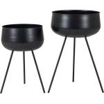 House Nordic Ardola 9001170