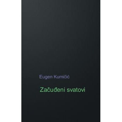 Zacudjeni Svatovi: Roman