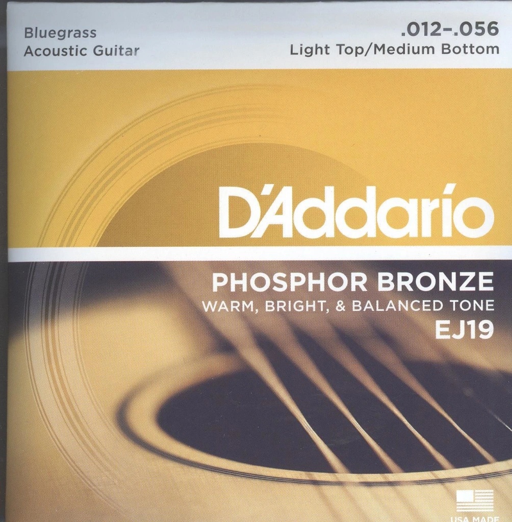 D'addario EJ19